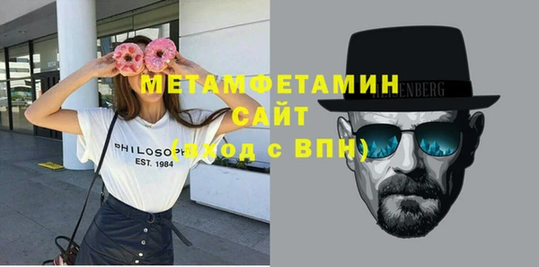 сатива Новозыбков