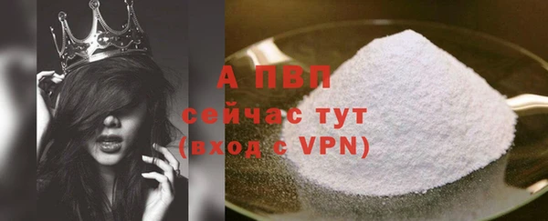сатива Новозыбков