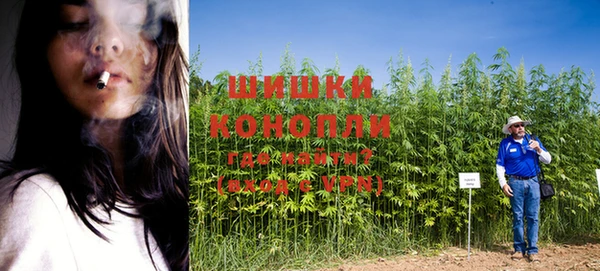 каннабис Новодвинск