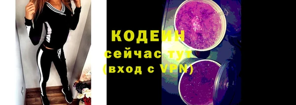 сатива Новозыбков