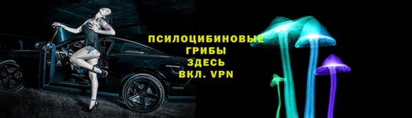 сатива Новозыбков