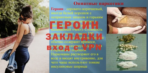 сатива Новозыбков