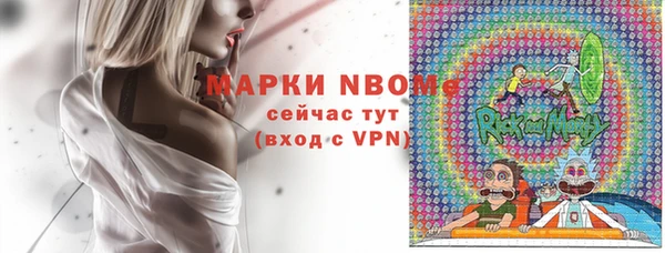 сатива Новозыбков