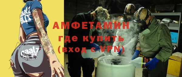 сатива Новозыбков