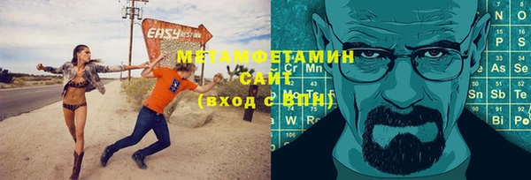 сатива Новозыбков
