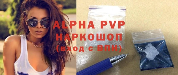 сатива Новозыбков