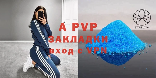 сатива Новозыбков
