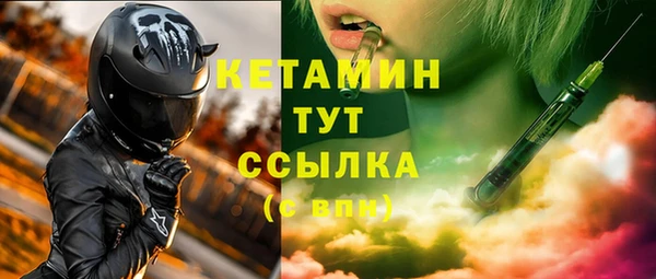 сатива Новозыбков